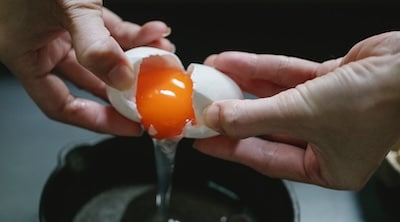 egg protein